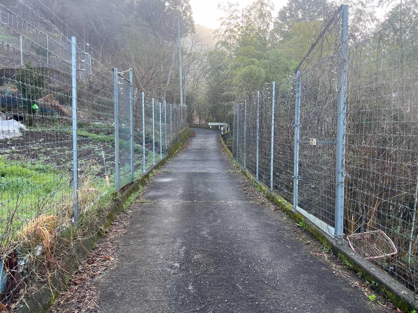両側に電気柵のある道を進む🚶‍♀️

大仁田厚(古くてすんまへん)が喜びそうな場所であります🤼‍♂️