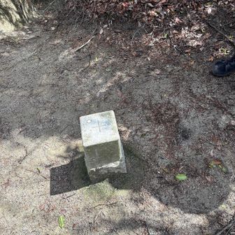 岩巣山頂上の杭