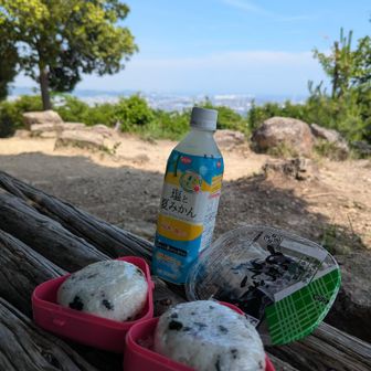 ちょうど木陰のベンチが空いていたのでこちらでお昼ご飯に🍙
冷たいお蕎麦が美味しいです🤤
（最近コンビニおにぎり高いので自家製ワカメおにぎりです）