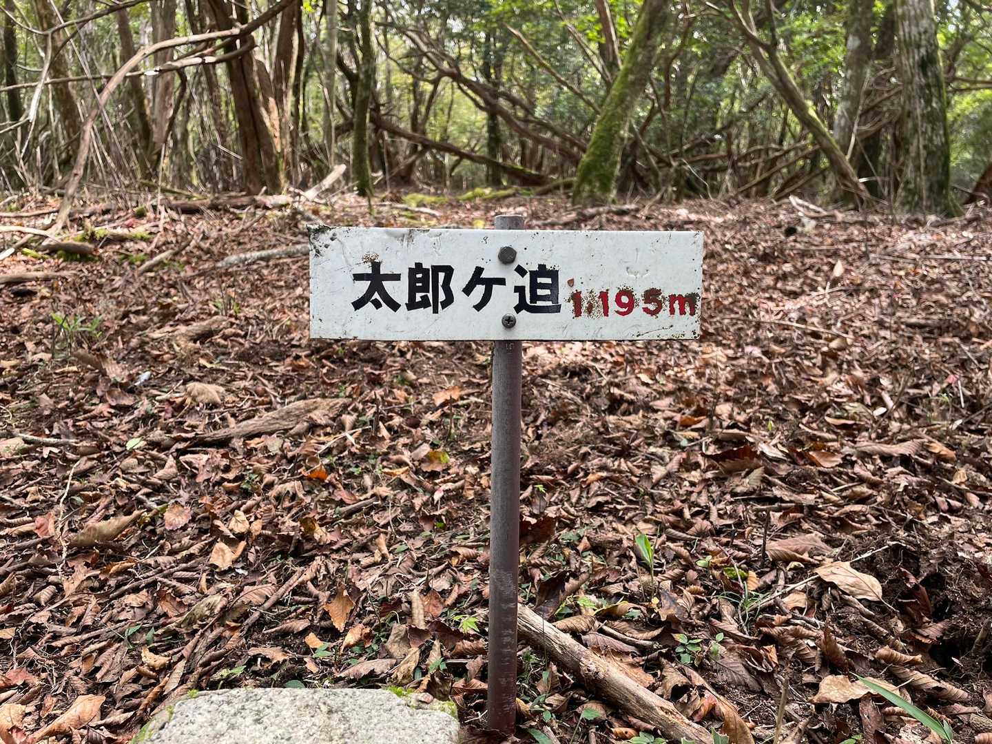 初太郎ヶ迫。