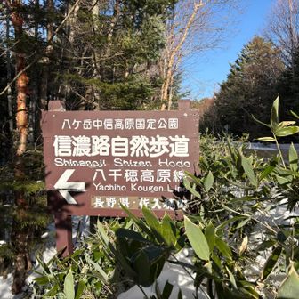 ここで車道とお別れで、再び樹林帯へ