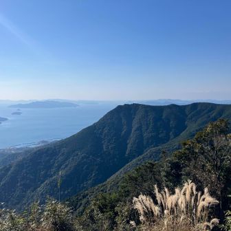 グリーンピークの矢筈嶽までは片道1時間。
せっかく来たので取りに行きたい気持ちもありましたが、遠征なので時間に制約があります。
優先順位を考えてここはパスしました。