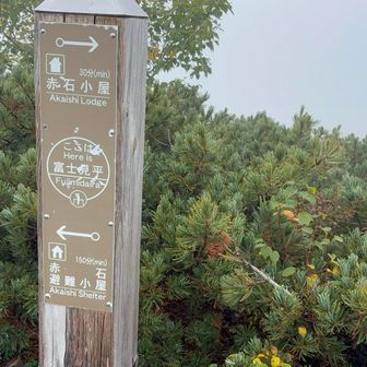 富士見平