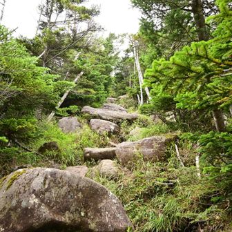 距離は短いですが蓼科山を彷彿させる岩場の急登でした〜😅