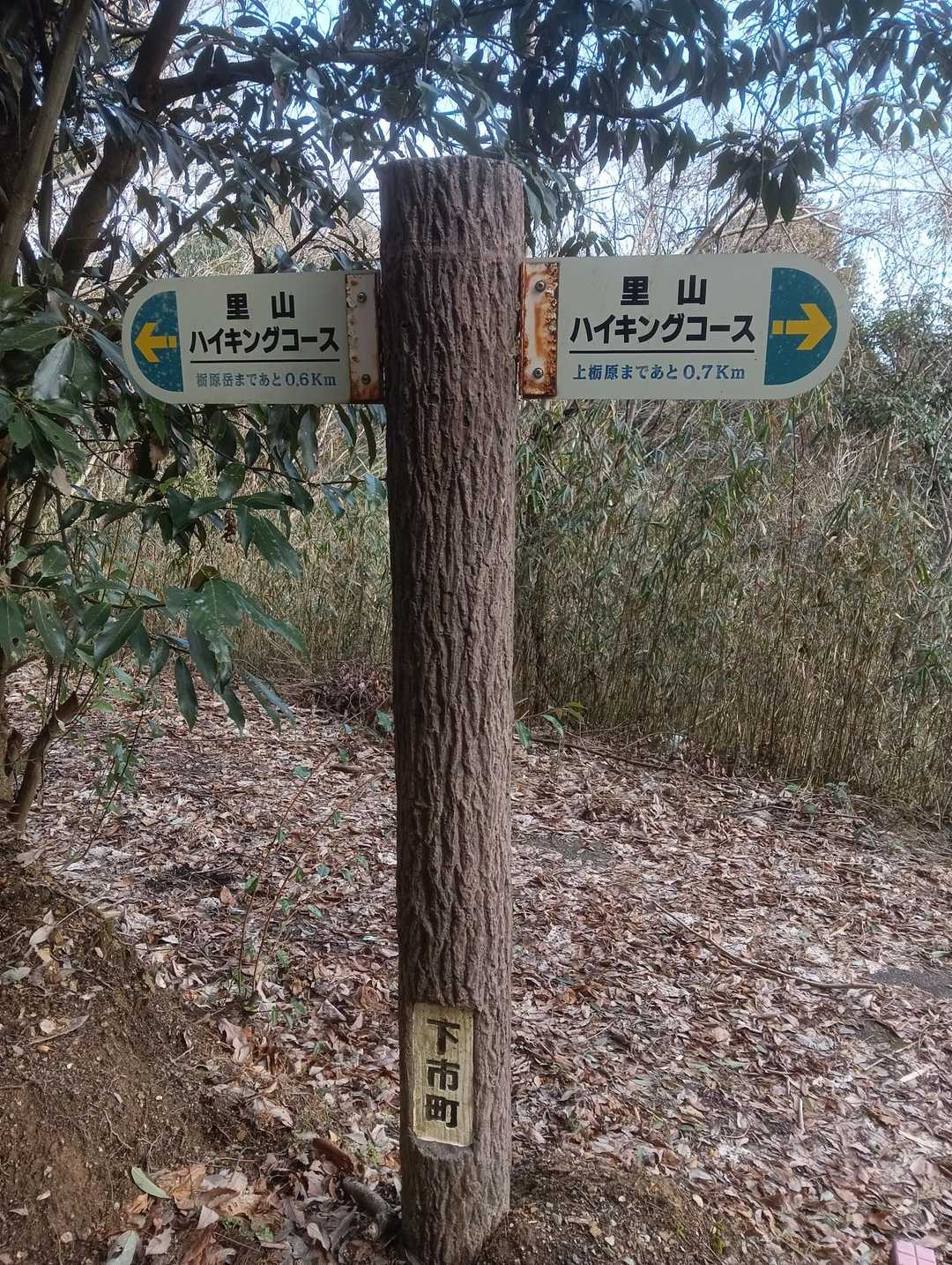 一本道だから迷わないけど
丁寧に道標もある