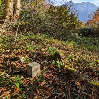 ここは５回目ぐらいだが三角点については記憶がない　少し離れた所にある
