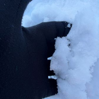 湿気たっぷりの重めの雪です