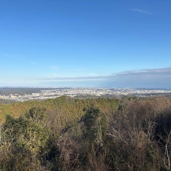 赤ぼっこからの景色
赤ぼっこは270度パノラマの景色が素晴らしいので、写真だとわからない素晴らしい場所。
超低山にしてはかなり素敵なところ(^▽^)/