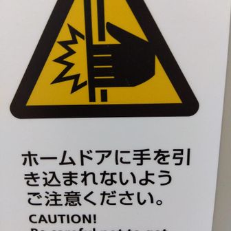 Kashiの木もっくん🌳