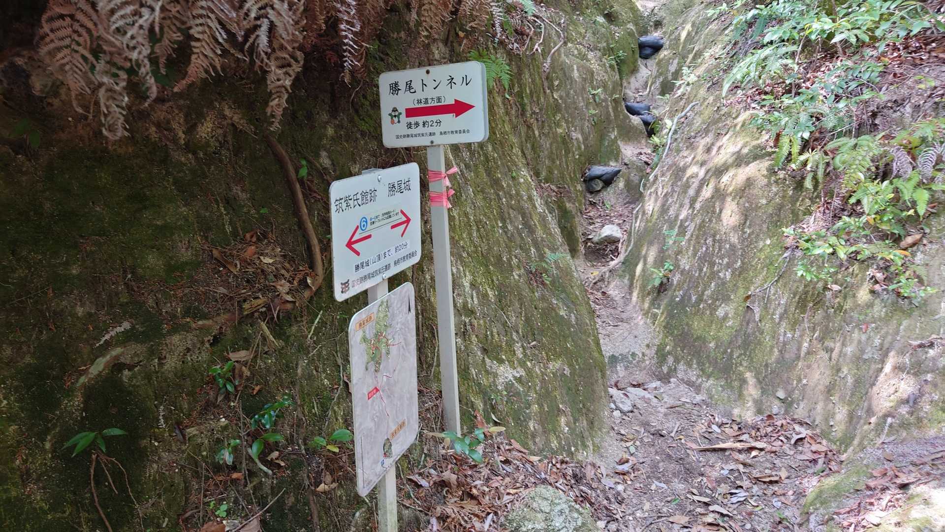 筑紫神社-城山 周回コースの写真