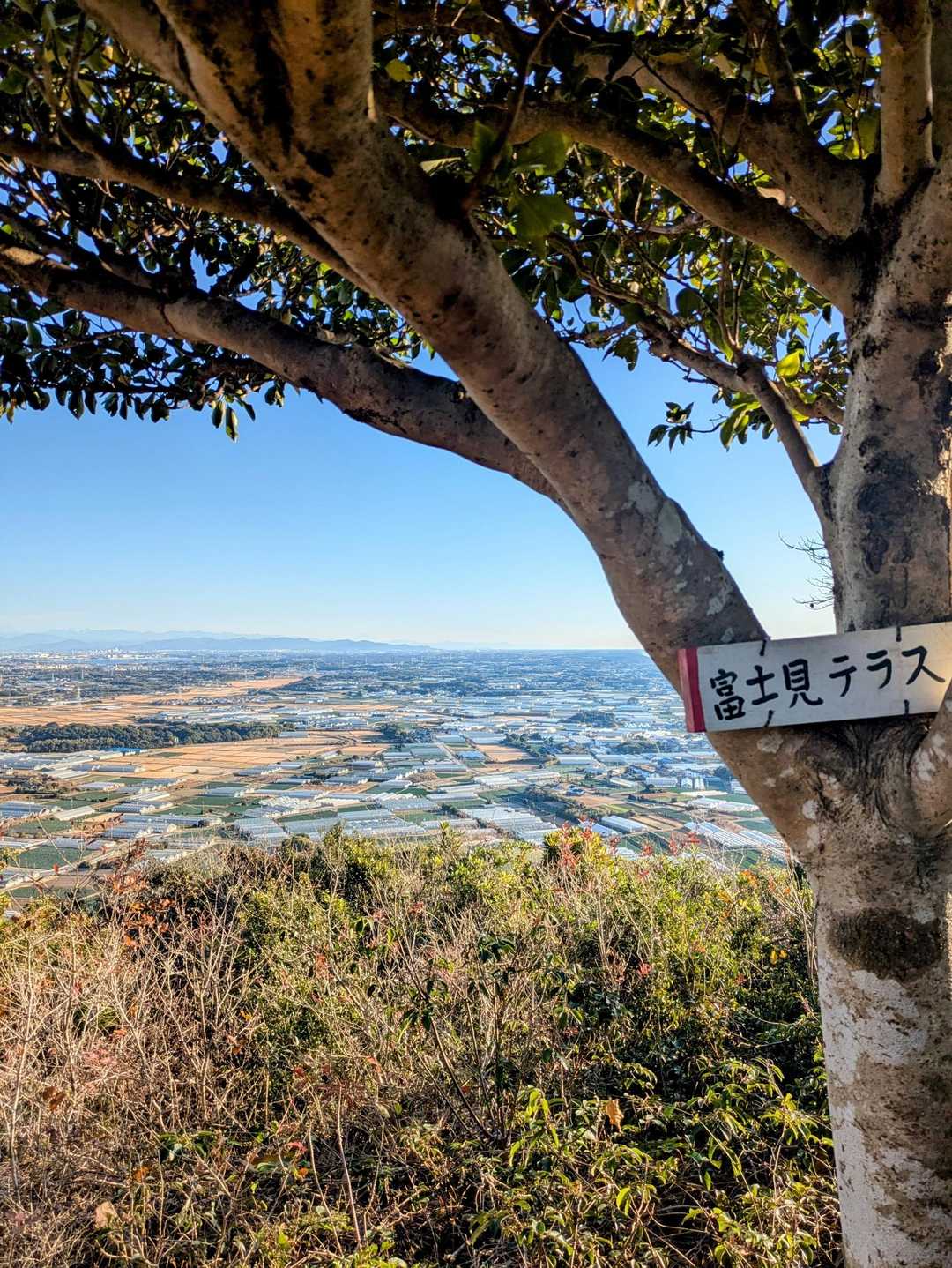 富士見テラスでしたが…見えたような見えないような…
