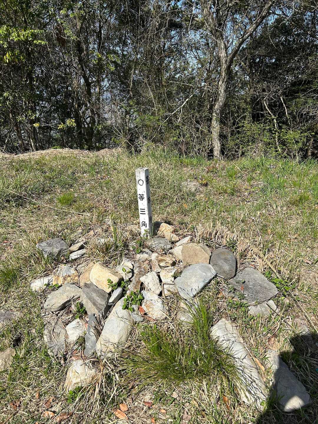 大麻山 往復コースの写真