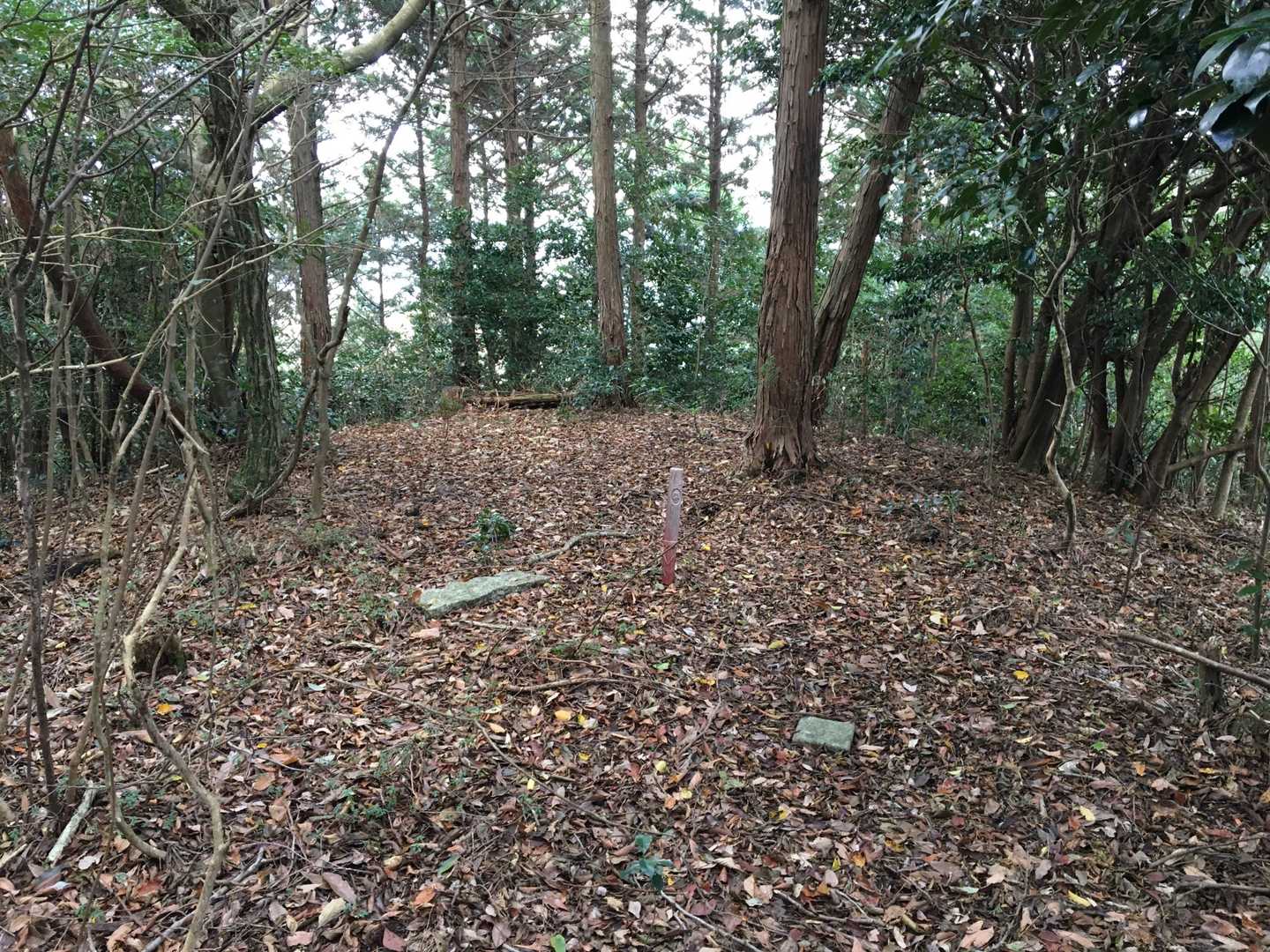 高地山(初)
展望ナシ。