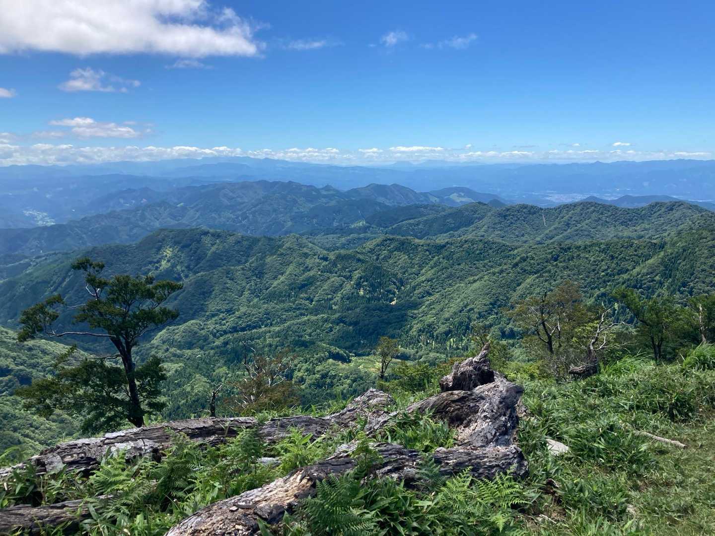 山頂からの景色