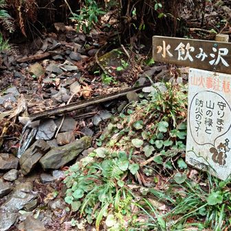 水質を知りたい