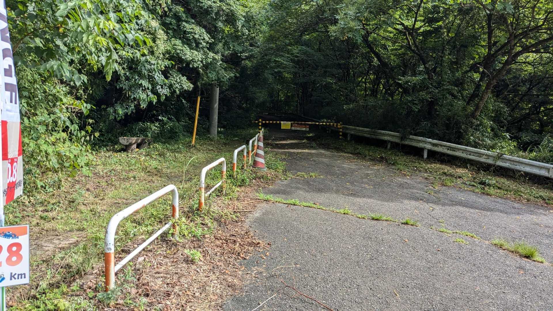 駐車場から尚仁沢湧水の歩道を歩きます🌱