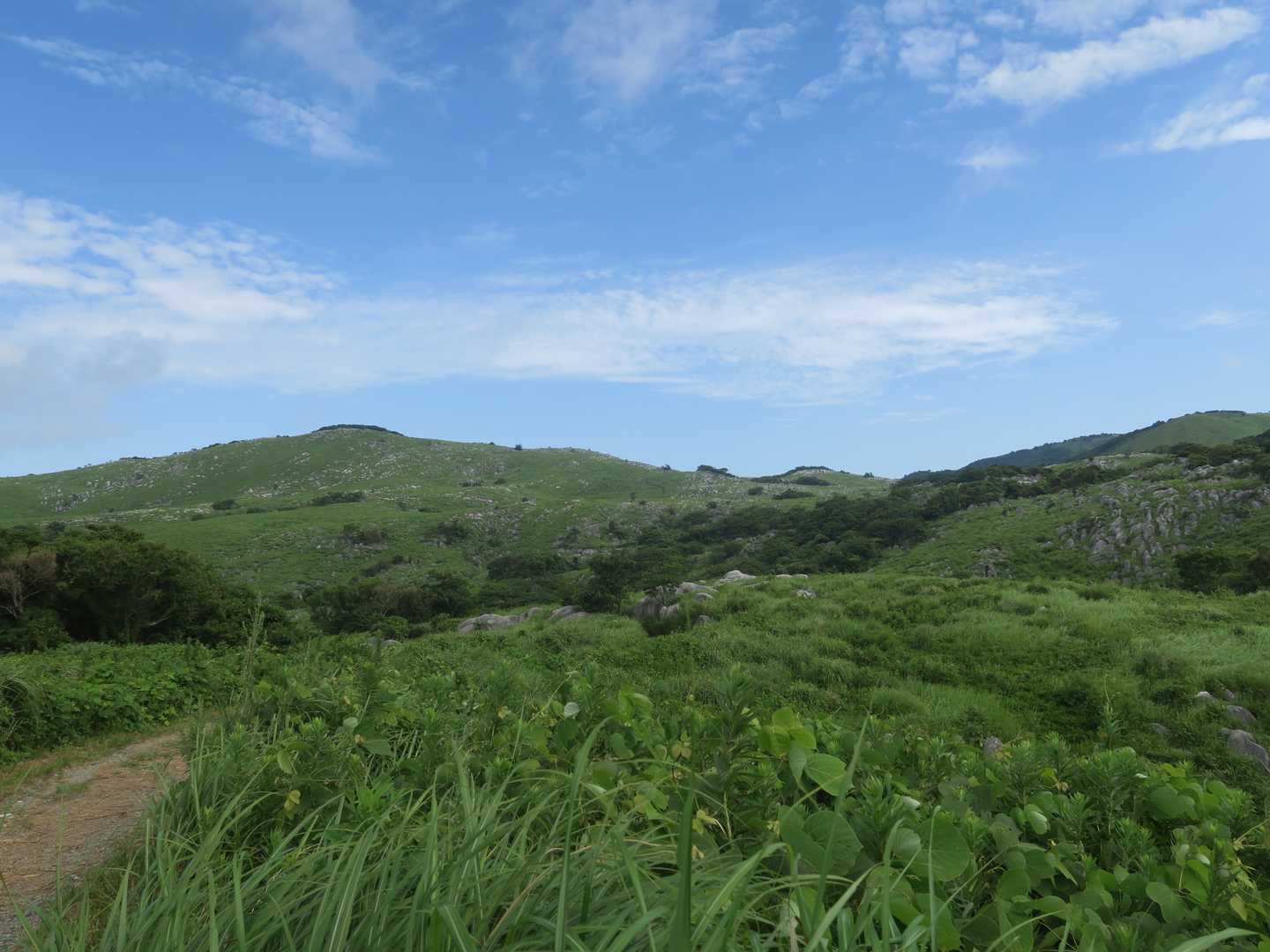 茶が床園地から九州自然歩道コースを大平山へ向かった。