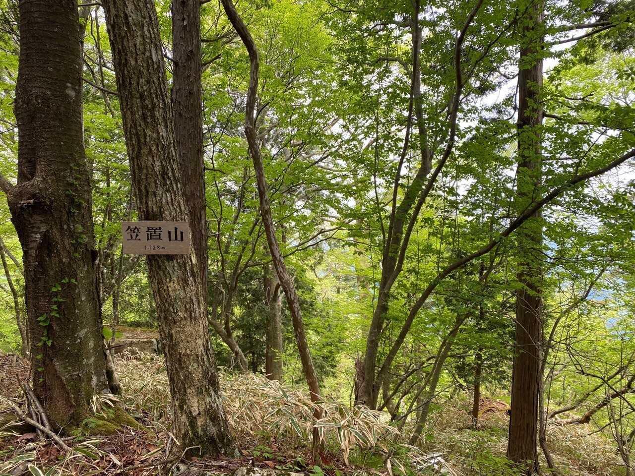 笠置山の写真