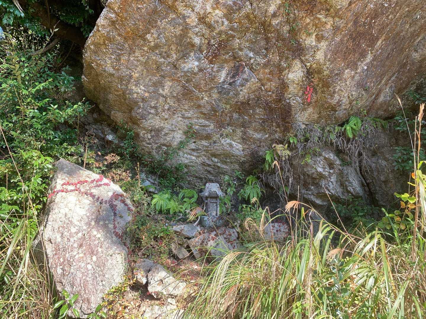椿山 往復コースの写真