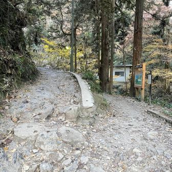 上の方（左の道）へ。下は1号路だとか。