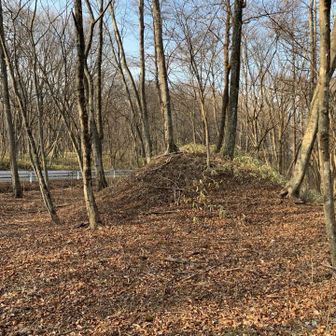 将来は、YAMAPのピーク⛰️