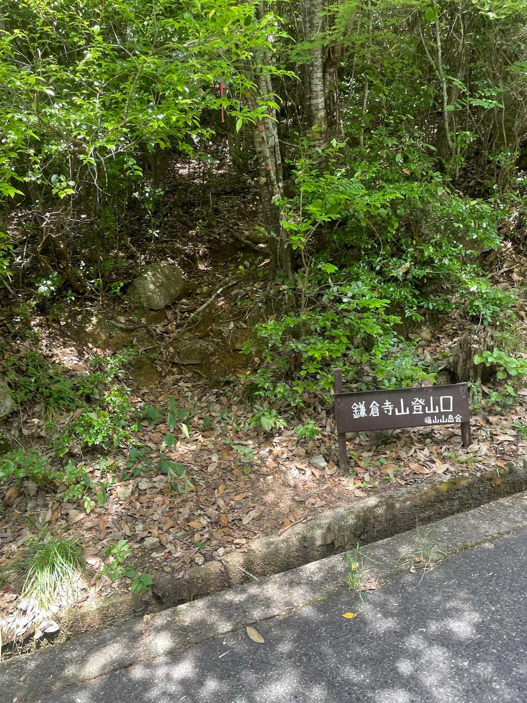 登山口は道路端
いきなり山に入る感じ