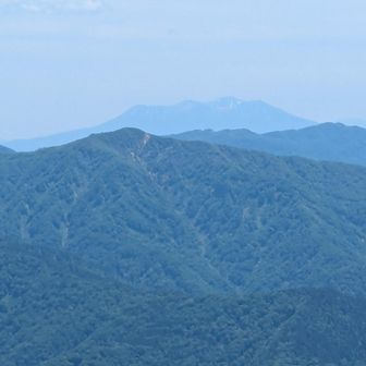よし😆帰るよ🐸