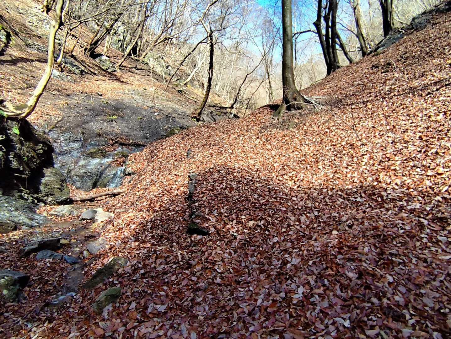 ここの落ち葉🍂は30〜50cm以上積もっています　踏み抜きありました🤣