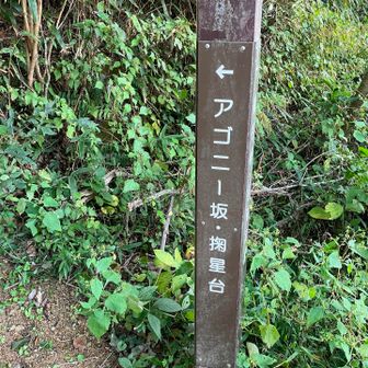 摩耶山が近いな。