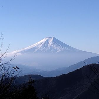 ず〜っと見れいられる😀