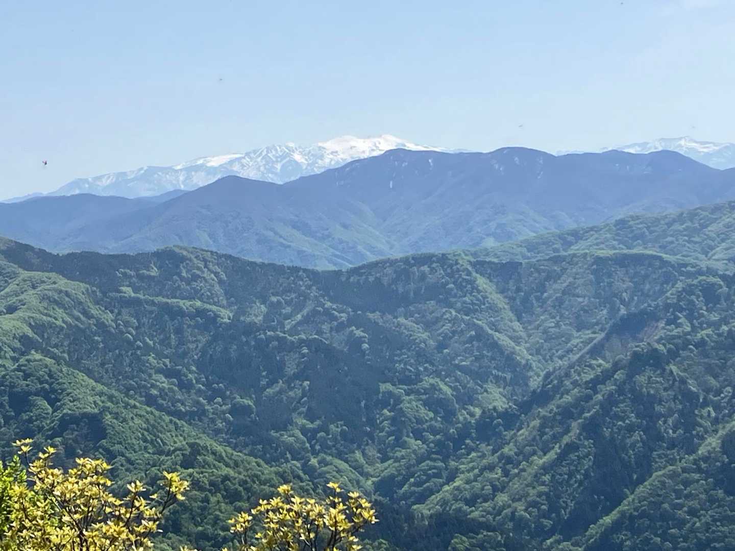 白山の山開きが待ち遠しい