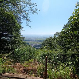 見晴らし良し。