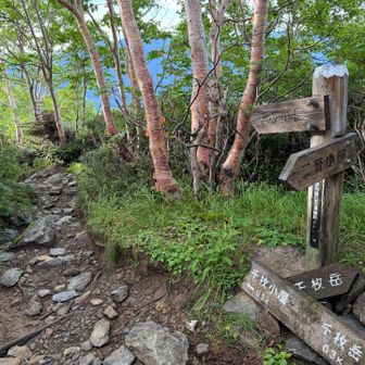 二軒小屋と千枚小屋方面の分岐。
千枚小屋まで0.5km。
