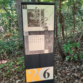 こんなのもある