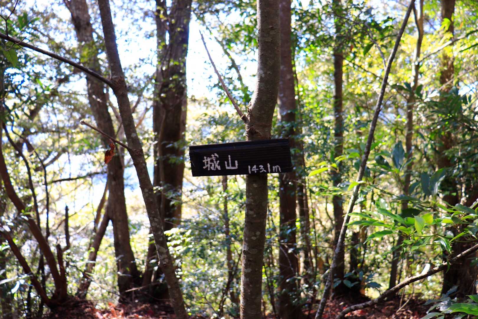 山頂でした🤣
海蔵寺山より疲労度があります😂😂