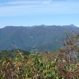 奥の右端に石鎚山
手前の稜線の右最高峰が椿山1584.9m