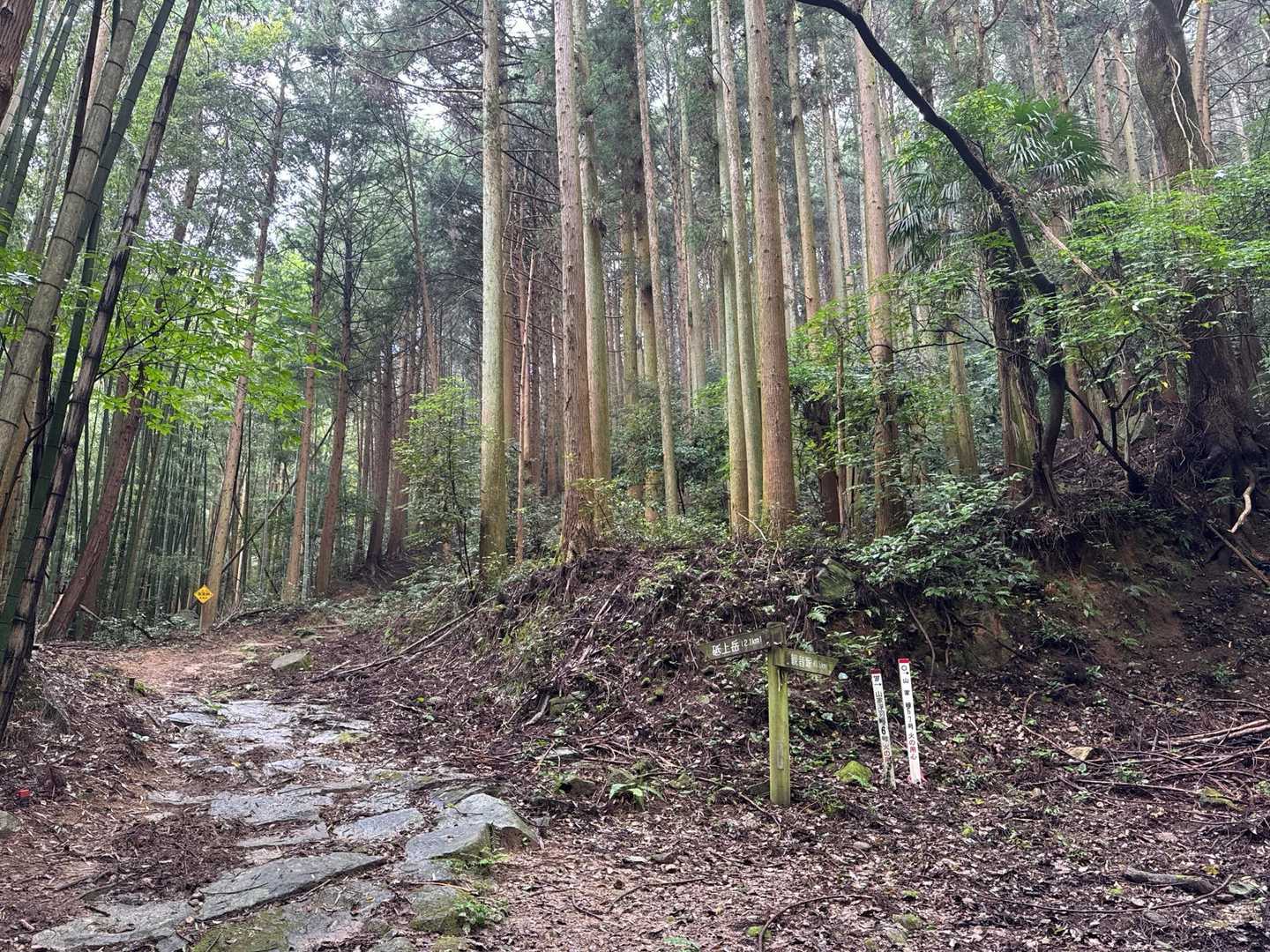 今日は左を往復で早めに帰ります😆