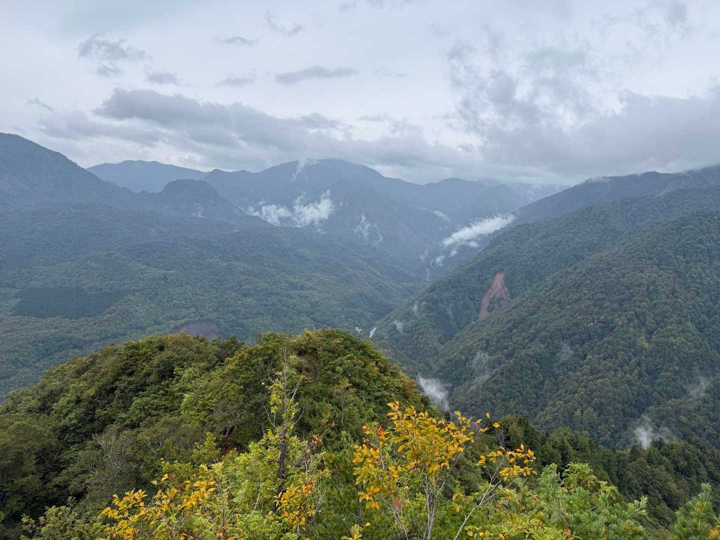 ヤセ尾根まで登って振り返ると佐武流山⛰️
明日行けるかなぁ