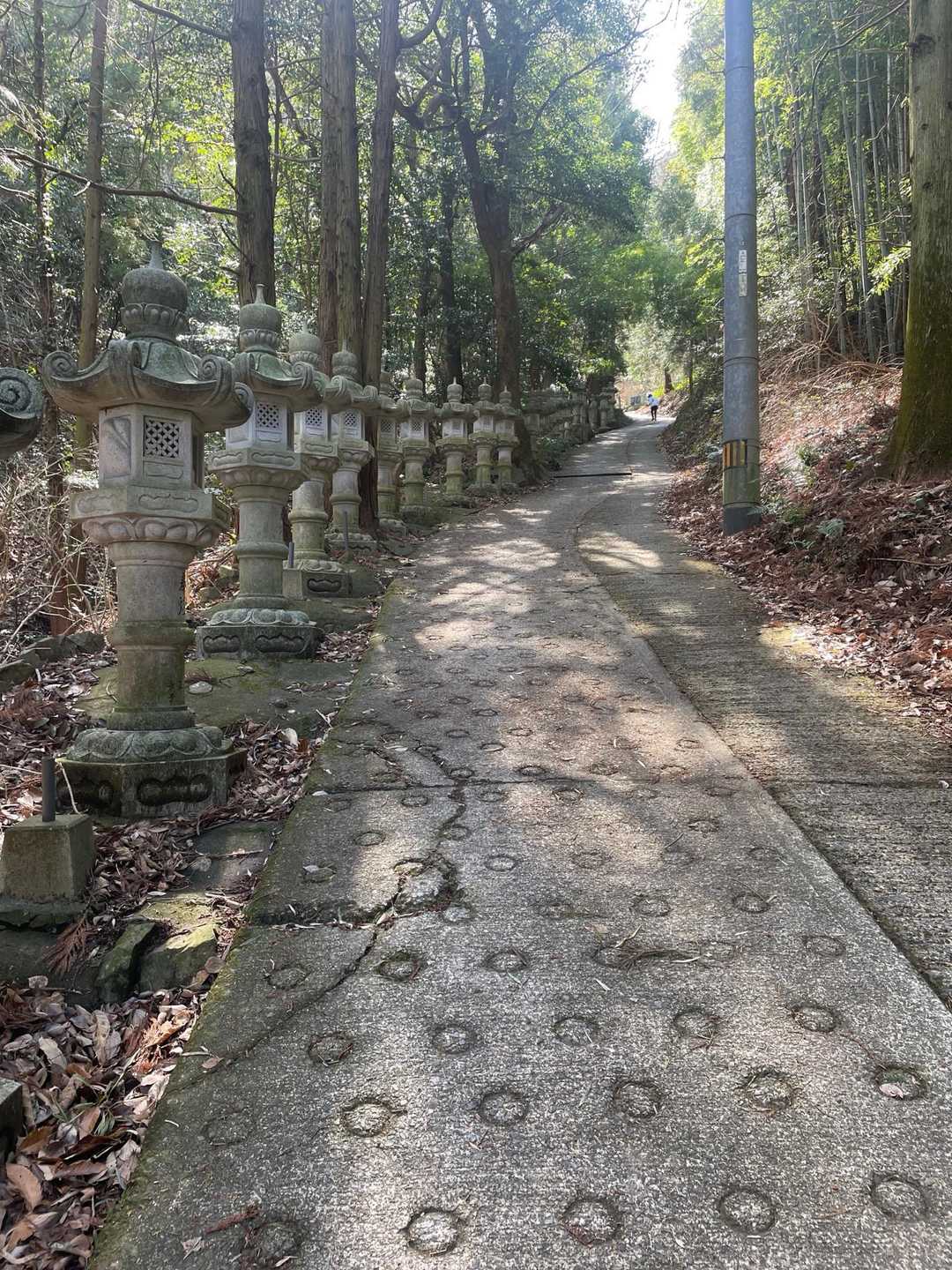 えらい