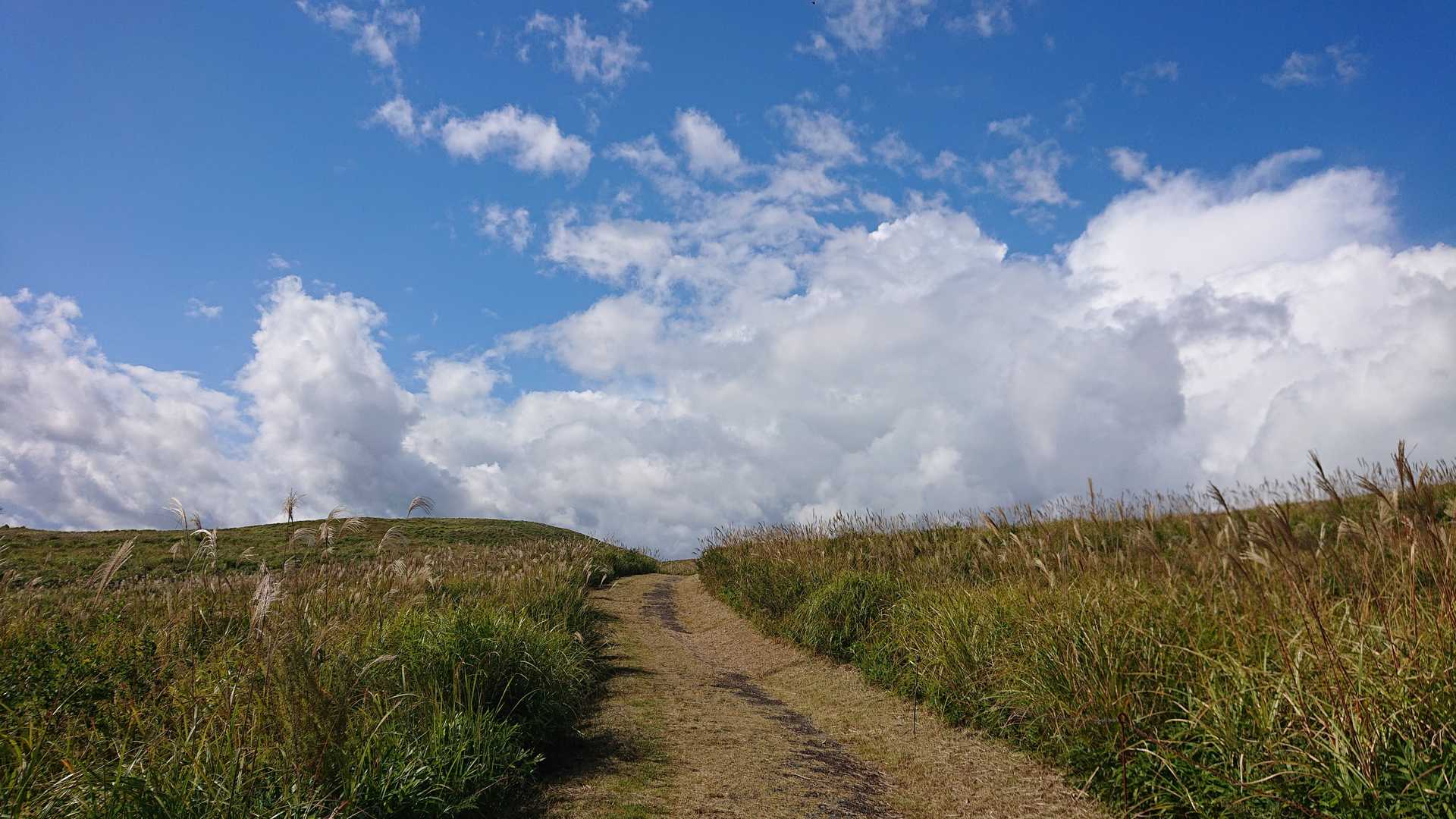 さあ行ってみよう🚶