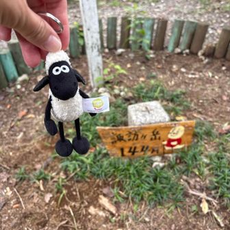 諏訪ヶ岳に着きました。標高144m！