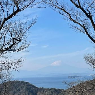 さくらテラスからの富士山