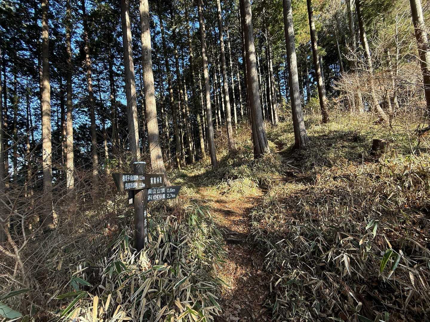 鳥居原ふれあいの館バス停-権現平-南山 往復コースの写真