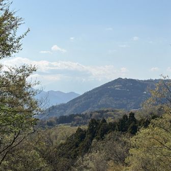 霞みすぎてる富士山😂