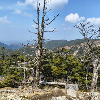 山頂から別方角の景色