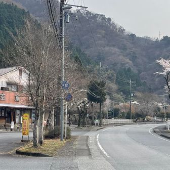 西丹沢バリ周回完了(*`･ω･)ゞ
同角山稜はまた歩きたいけど大杉山稜はもう嫌