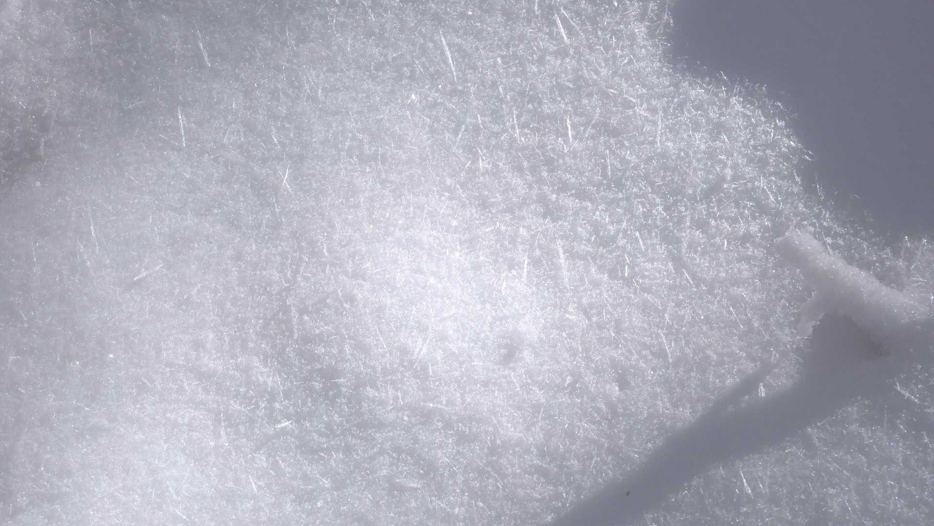足元の雪を見るとその上に樹霜のトゲトゲがたくさん落ちてる