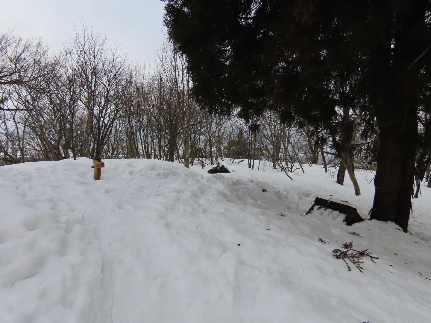 食ったらサッサと帰ります。三ノ峠山を通過。この直前にお一人とスライド。。。気合ですね。