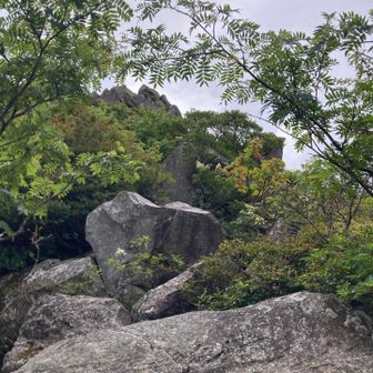 険しい岩場