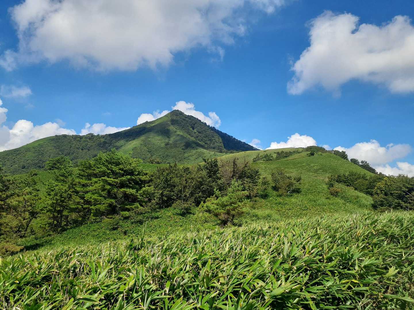 カッコイイ下蒜山ー😆